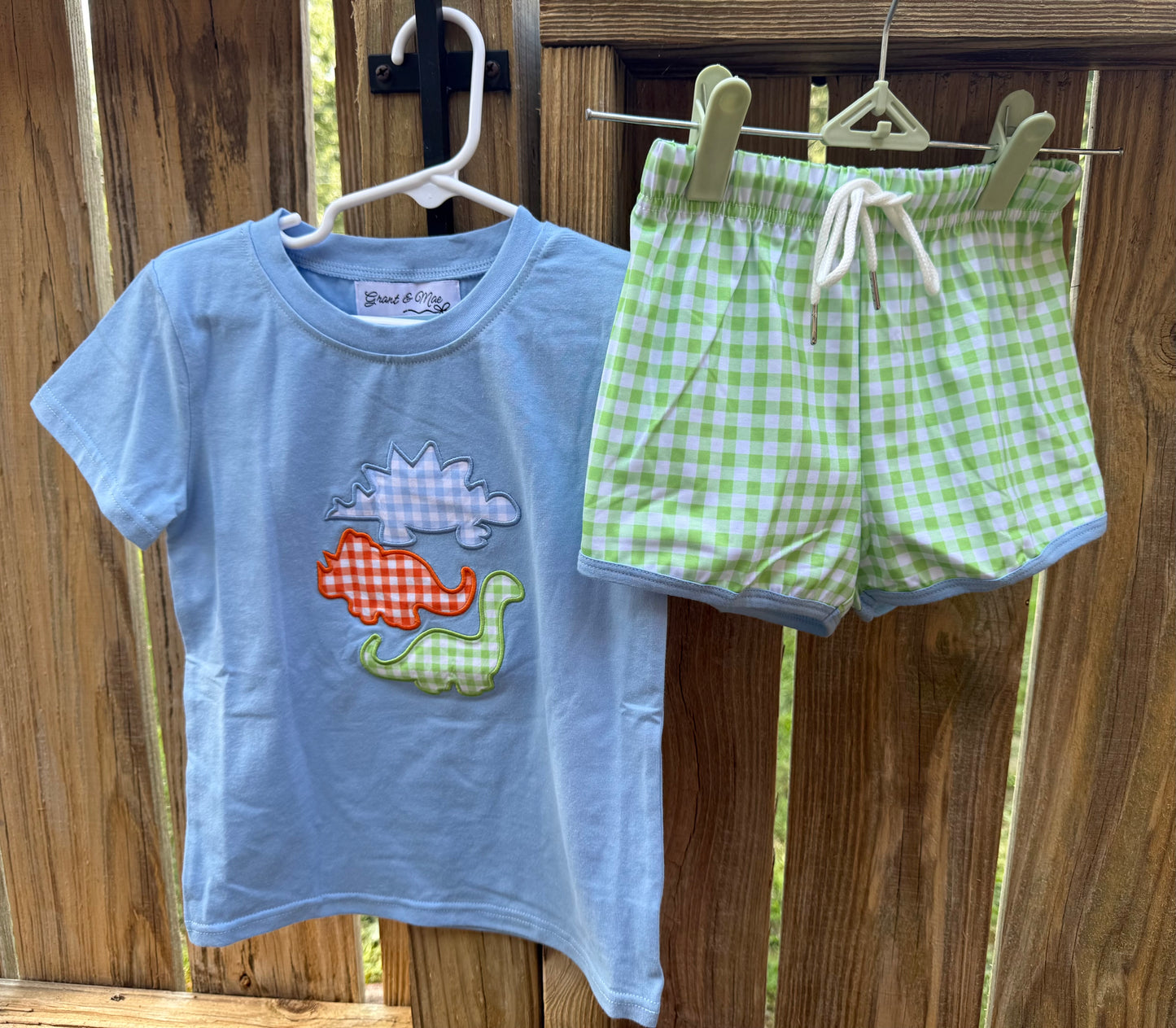 Dino Gingham Set